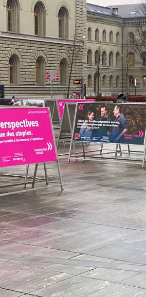 pespektiveschweiz bild