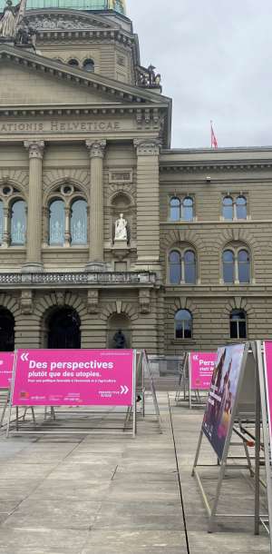 pespektiveschweiz bild